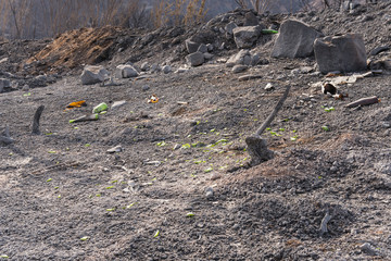 Glass and metal garbage exposed by the Thomas Fire along Highway 150 near Lake Casitas.