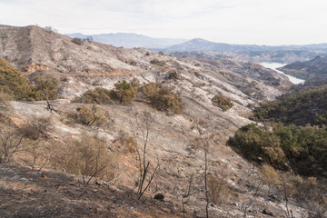 Views of Thomas Fire damage in the hills around Lake Casitas in Ojai, California