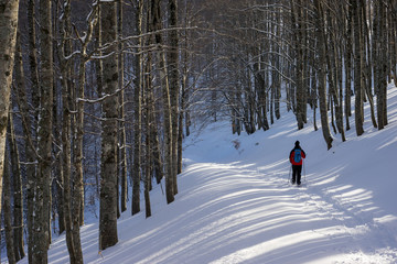 Ciaspolata, Monte Terminillo, Rieti, Abruzzo, Italia