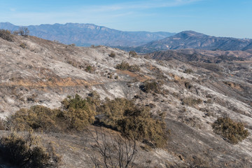 Fototapeta na wymiar Views of Thomas Fire damage in the hills around Lake Casitas in Ojai, California