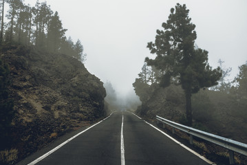 Beautiful road in the fog through rocks and treas