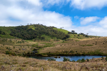 Road leading to Horton Plains, Sri Lanka