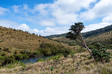 Road leading to Horton Plains, Sri Lanka
