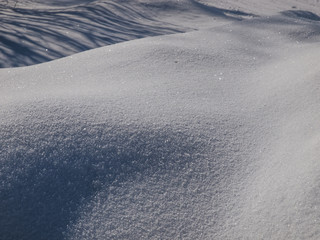 Island Park Idaho Snow Detail 8147