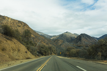 Landscape damaged by the Thomas Fire along Highway 33 in Ojai, California
