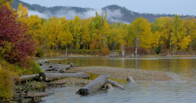 River bank in the mist, autumn forest on the riverside, beautiful trees in the mountains. Leavenworth, Central cascades, WA, USA. Landscape video. Nature video. 4K, 3840*2160, high bit rate, UHD