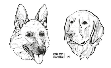 Set of portraits of dogs. Breeds German Shepherd and Labrador. Graphical vector illustration - 187531795