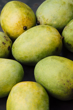 Fresh green mangoes from the field.