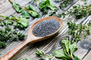 poppy seeds in a wooden spoon on rustic background