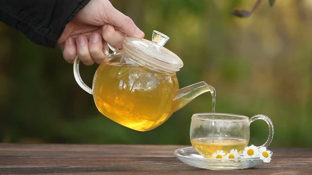 green tea with chamomile in cup