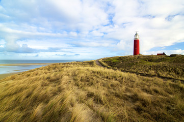 Texel Lighthouse Netherlands - obrazy, fototapety, plakaty