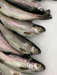 trouts on ice in the market