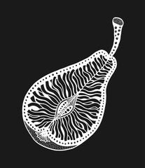 Hand drawn, gray ornamental pear