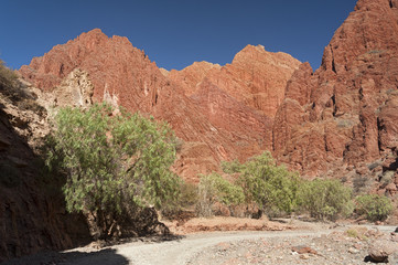 Puerta del Diablo, red rock formation in dry Red Canyon Quebrada de Palmira near Tupiza, Bolivian Andes- Bolivia, South America