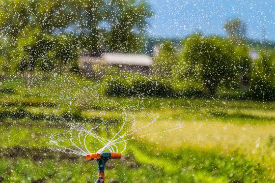 Watering the garden using a rotation sprinkler. Water drops background. Selective focus.