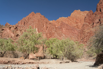 Puerta del Diablo, red rock formation in dry Red Canyon Quebrada de Palmira near Tupiza, Bolivian Andes- Bolivia, South America