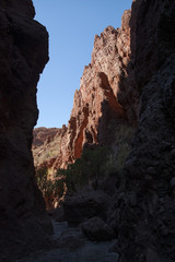 Fototapeta na wymiar Puerta del Diablo, red rock formation in dry Red Canyon Quebrada de Palmira near Tupiza, Bolivian Andes- Bolivia, South America
