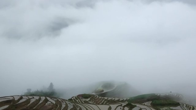 Time lapse of a storm blowing over rice fields