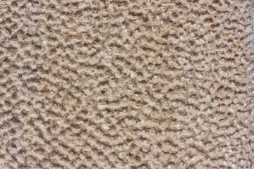 abstract Textured, relief  wall of plaster, plaster