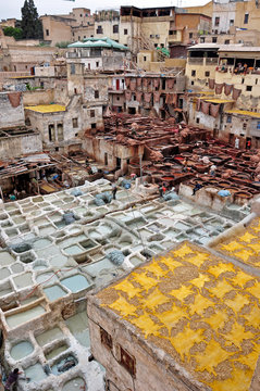 An ancient tannery in the historic town of Fes, Morocco.