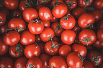 red tomatoes background. Group of tomatoes