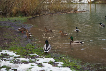 Fototapete bei efototapeten.de bestellen   