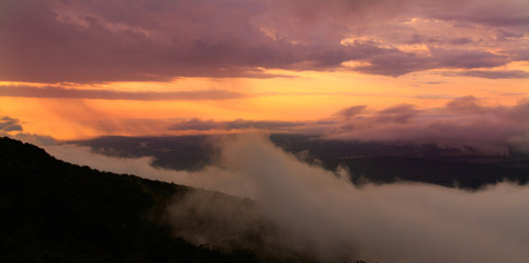 Fototapeta premium Morning Surprise