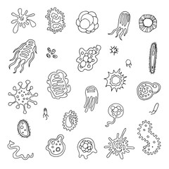 Infection bacteria and pandemic virus vector biology hand draw icons. Illustration of bacteria and microbe organism allergen on white background