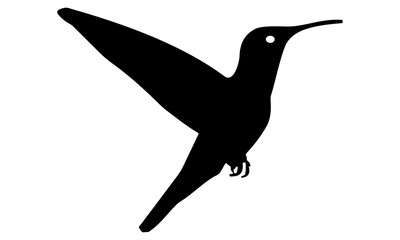 picture of the hummingbird silhouette