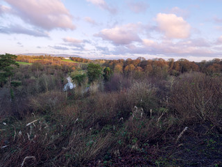  winter countryside morning,Northern Ireland