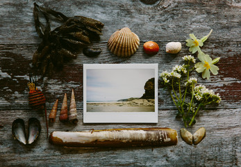 Mixed media flat lay featuring coastal finds and an instant photographA beach.
