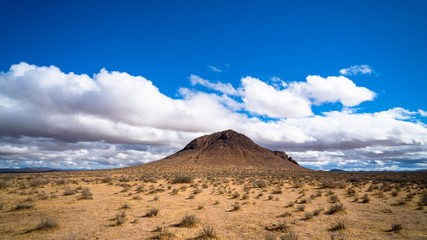 Mojave Desert 