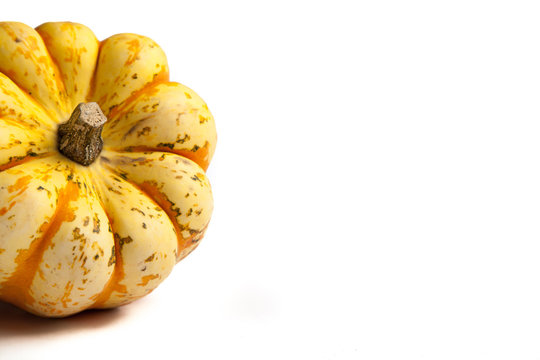 Orange and Yellow Sweet Dumpling Squash on white background with copy space