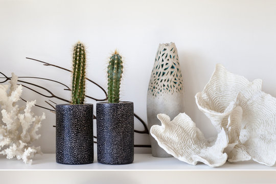 Tropical Shells and Coral with cactus