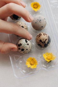 Quail eggs and little yellow flowers in transparent plastic box