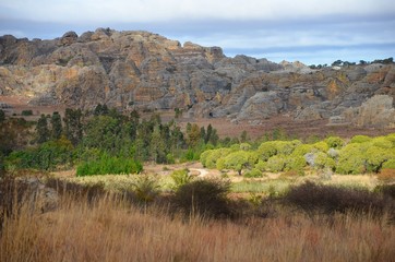 Early Morning in Isalo National Park, Madagascar