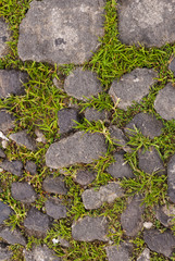 The sidewalk and The weeds on The fissure in Guatemala.