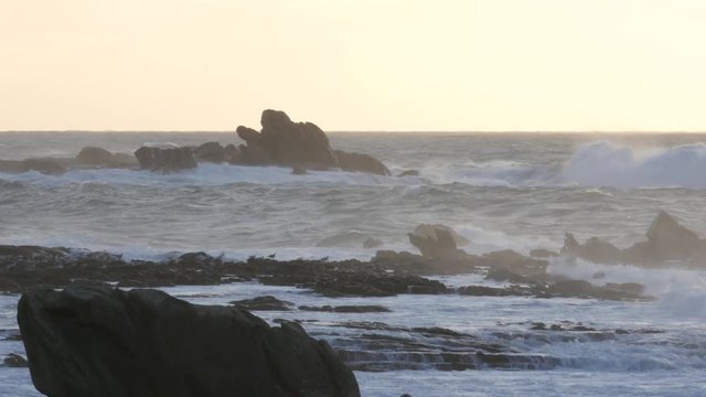 Storm, waves on rocks, sea spray and seagulls, end of day light - Temp&ecirc;te vagues sur rochers avec des embruns et des mouettes, lumi&egrave;re de fin de journ&eacute;e