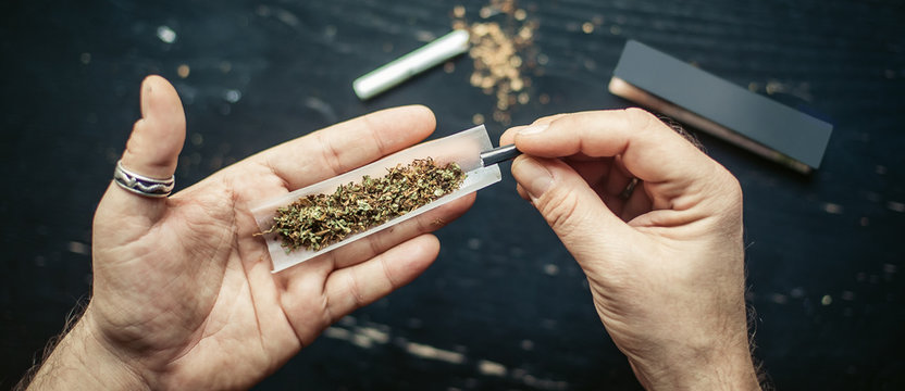 Preparing and rolling marijuana cannabis joint. Drugs narcotic concept