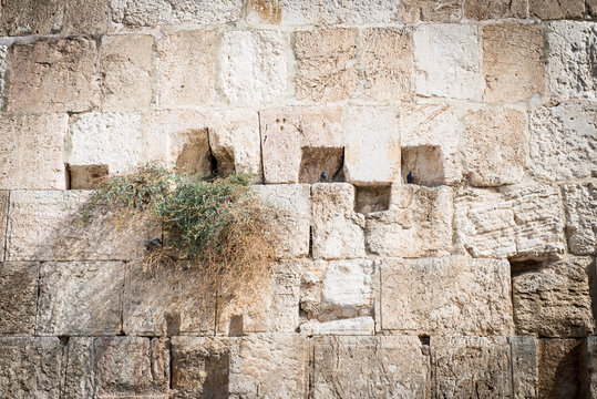 Klagemauer in Israel