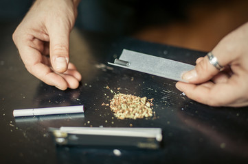 Preparing and rolling marijuana cannabis joint. Drugs narcotic concept