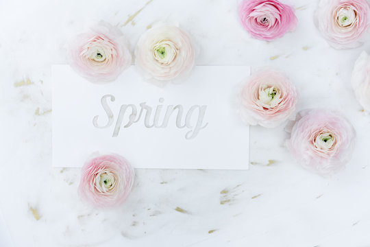 Spring message written on white cardboard, with random ranunculus around it