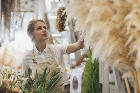 Woman Florist Working at Her Flower Shop