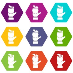 Apple in hand icon set color hexahedron