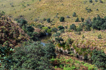 Road leading to Horton Plains, Sri Lanka