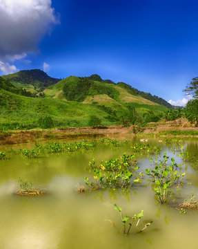 Beautiful landscape, pond on the foreground. Laos.