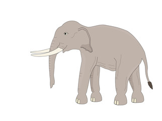 Asia elephant is walk, illustrations cartoon