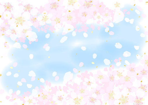 桜　青空