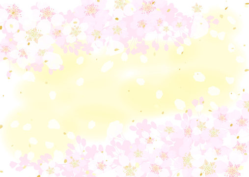 桜　桃