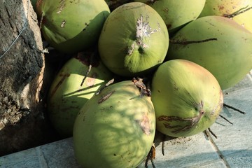 coconut at street food